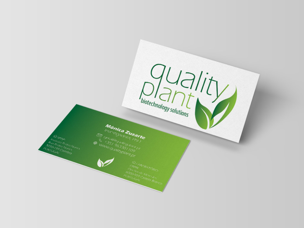 Joana Roma - Coimbra - Google Ads Manager
