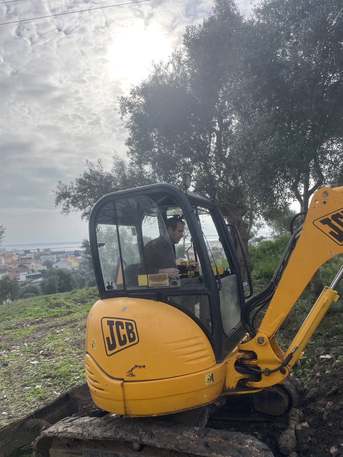 Júlio Lima - Montijo - Remoção de Tronco de Árvore