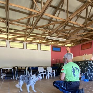 Luis treinador canino - Torres Novas - Pet Training