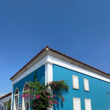 Mike - Almada - Limpeza de Telhado