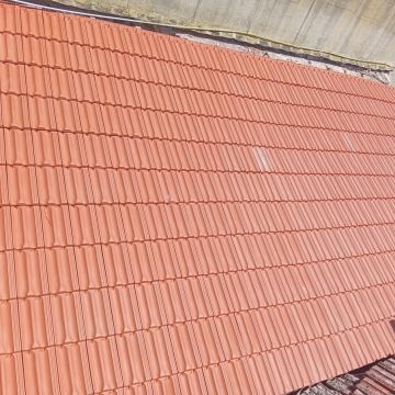 Paulo e Rute - Sintra - Floor Tiling