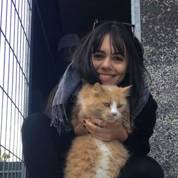 Beatriz Sobral - Figueira da Foz - Katzensitter