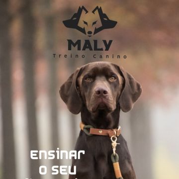 Luis treinador canino - Torres Novas - Modificação de Comportamento Animal
