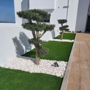 SIMPLE GREEN - Santarém - Boulder Placement