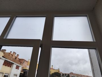 Window Blinds