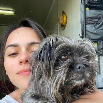 Beatriz Sobral - Figueira da Foz - Hundeausführung
