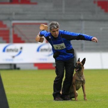 Luis treinador canino - Torres Novas - Modificação de Comportamento Animal