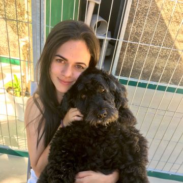 Beatriz Sobral - Figueira da Foz - Hundesitter