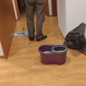 Sonia Ribeiro - Maia - House Cleaning (Recurring)