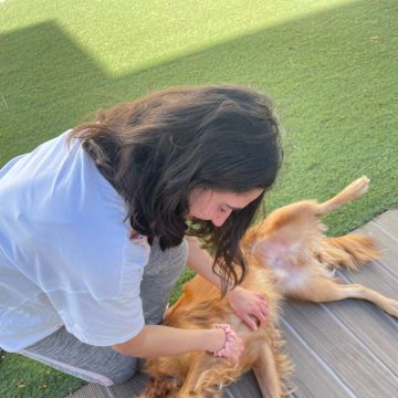 Jéssica - Almada - Dog Sitting