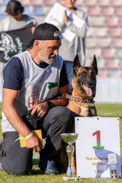 Luis treinador canino - Torres Novas - Treino Animal e Modificação Comportamental (Não-canino)