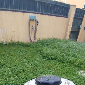 Eli Ricardo - Palmela - Multi Service Lawn Care
