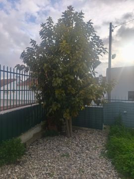 Jardinagem e Relvados