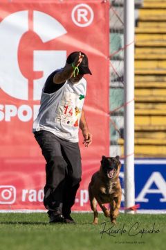 Luis treinador canino - Torres Novas - Treino de Animais