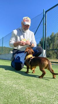 Luis treinador canino - Torres Novas - Pet Training