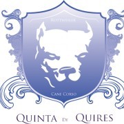 Quinta de Quires - Maia - Dog Sitting