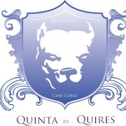 Quinta de Quires - Maia - Hundesitter