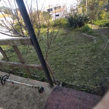 Ricardo Moura - Lisboa - Tree Stump Grinding and Removal