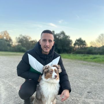 João - Lisboa - Dog Walking