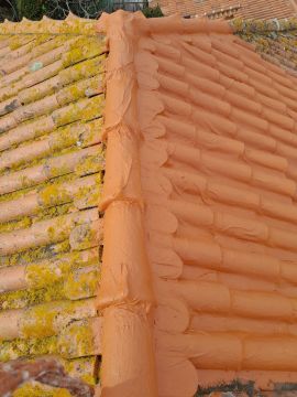 SF Serviços - Amadora - Roof Cleaning