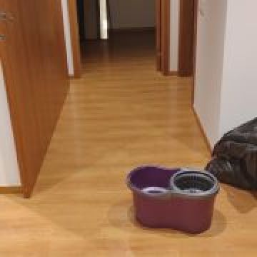 Sonia Ribeiro - Maia - Upholstery and Furniture Cleaning