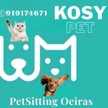 Liliana Velez - Oeiras - Servicios de presentación