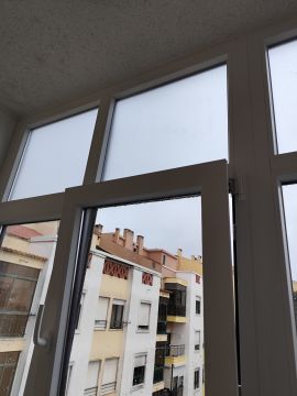 Window Blinds