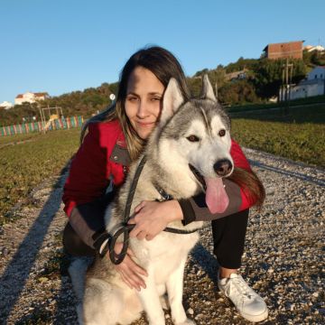 Arielle Leal - Loures - Dog Walking
