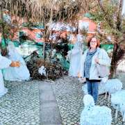 Maria do Rosário Heitor Morais Afonso - Moita - Car Documentation Agency