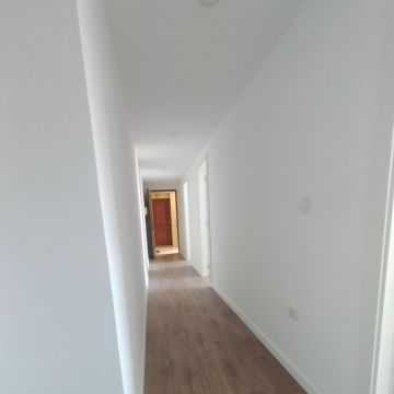 Mestre Da remodelação - Sesimbra - Ménage à domicile récurrent
