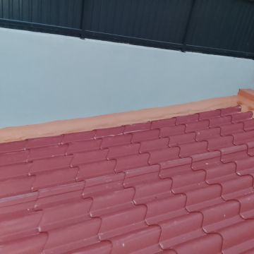 Paulo e Rute - Sintra - Roof Cleaning