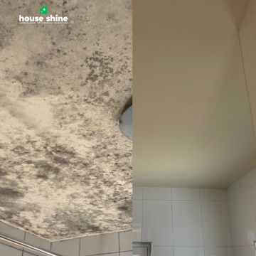CELESTIAL YARD - UNIPESSOAL LDA - Oeiras - Nettoyage en profondeur