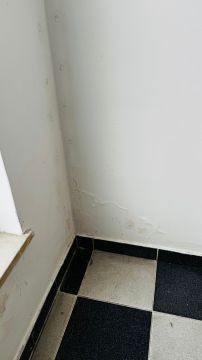 Especialista em Colocação de Rodapés - Casa