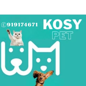 Liliana Velez - Oeiras - Marketing digital