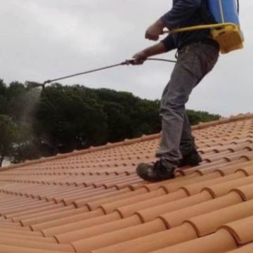 Marques Serviços - Murtosa - Remoção de Lixo e Entulho