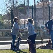 Valter Baltazar - Sobral de Monte Agraço - Treino de Cães