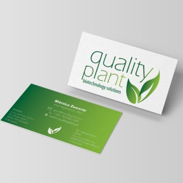 Joana Roma - Coimbra - Google Ads Manager