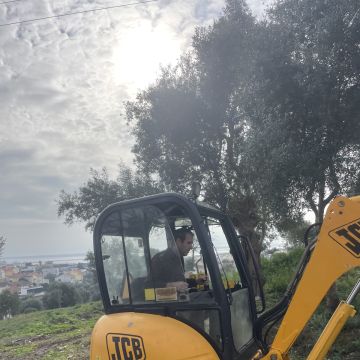 Júlio Lima - Montijo - Remoção de Tronco de Árvore