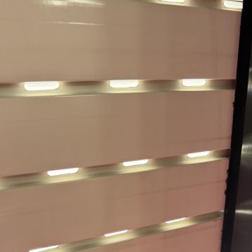 Sofia - Maia - Pintura de exteriores