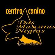 Valter Baltazar - Sobral de Monte Agraço - Treino de Cães