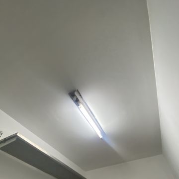 Letícia - Guimarães - Asbestos Removal