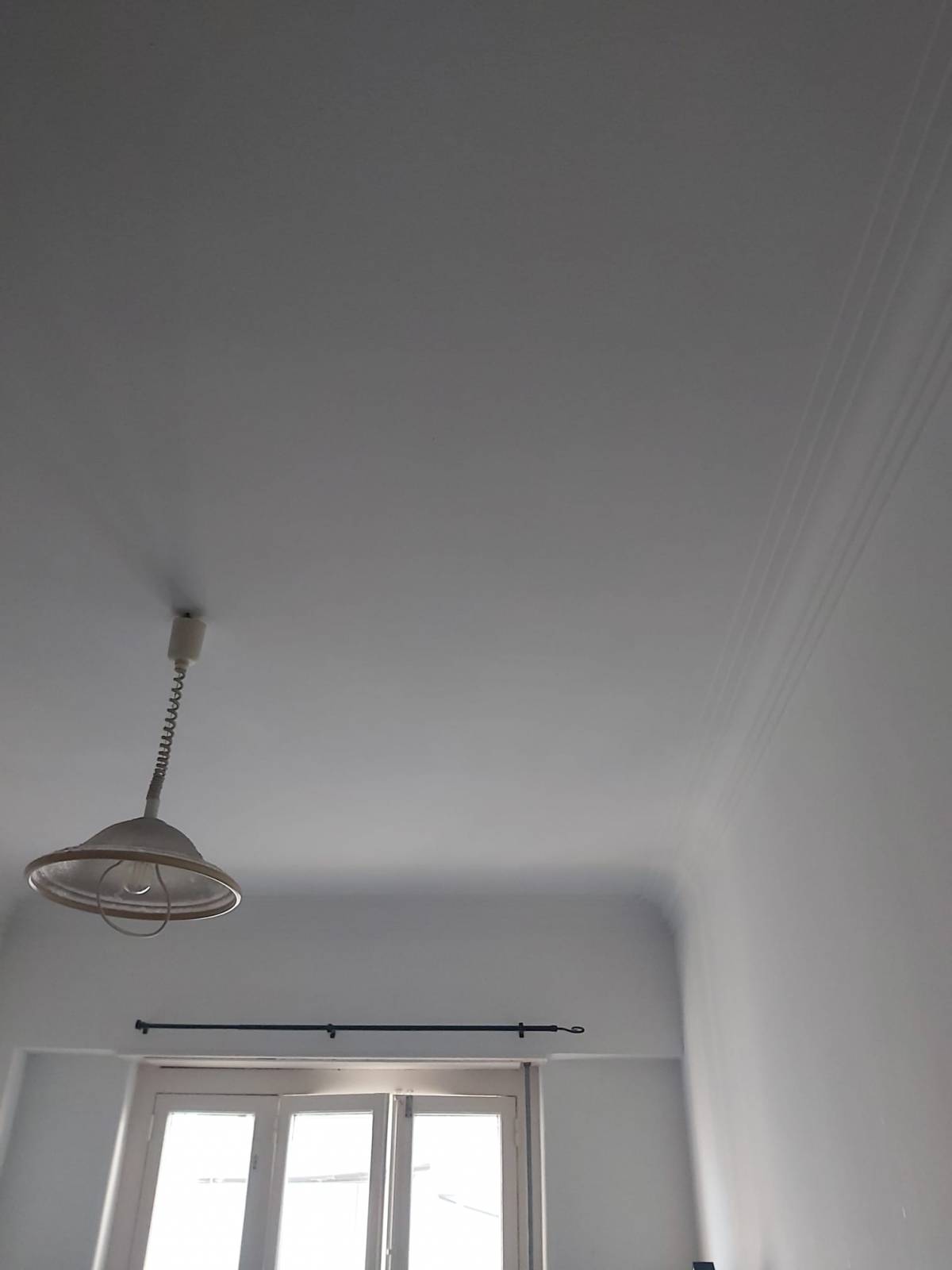 Mold Removal Expert