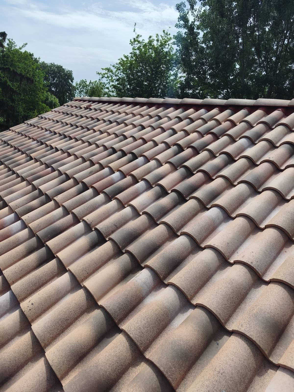 JPF TELHADOS DO SUL - Vendas Novas - Roof Cleaning