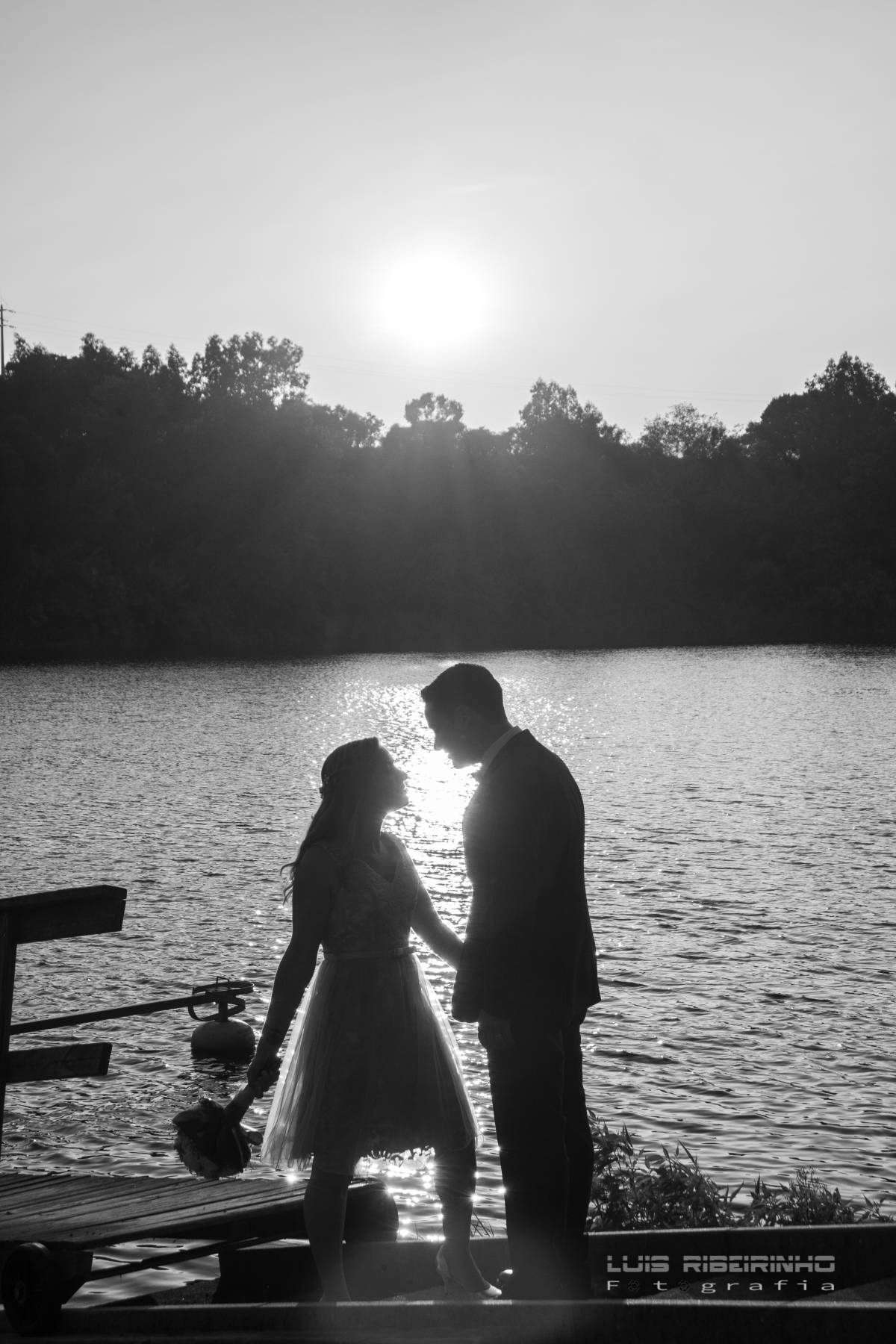 Luís Ribeirinho Fotografia - Mora - Transferência de Vídeo