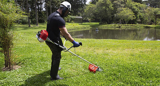 Jardinagem  ' pintura e limpeza de  terrenos arrumação de  casa  relvado - Vila do Conde - Poda e Manutenção de Árvores