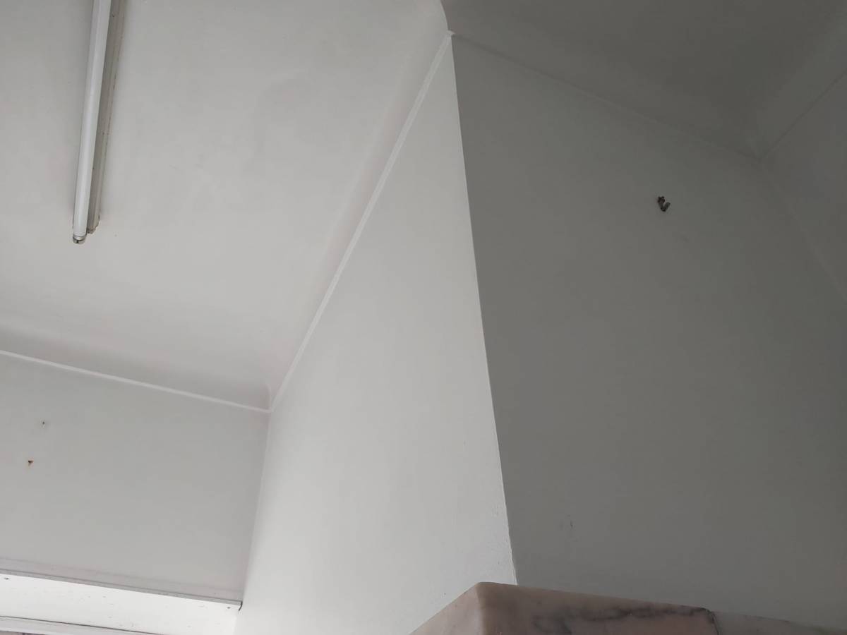 Mold Inspection and Removal - Cleaning