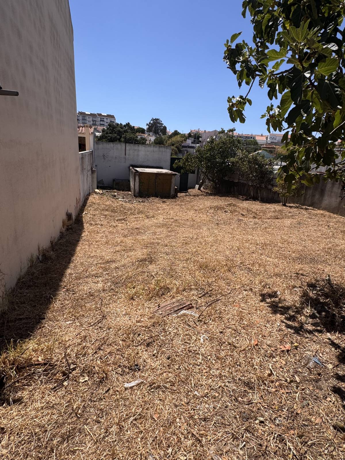 Soares jardins e campos jardim - Almada - Gartenarbeiten