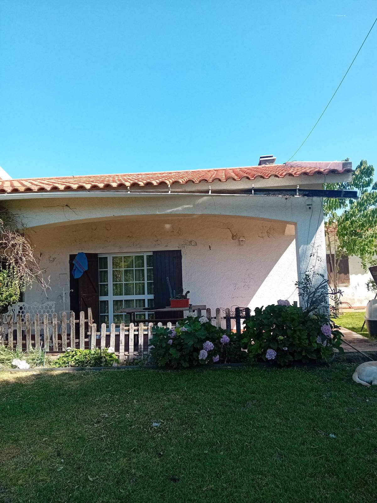 mfp pinturas e limpezas - Condeixa-a-Nova - Instalación o reemplazo de tejados