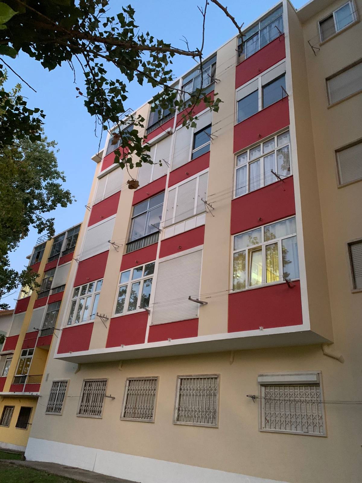 spo best luan spoladore - Amadora - Dachausbau