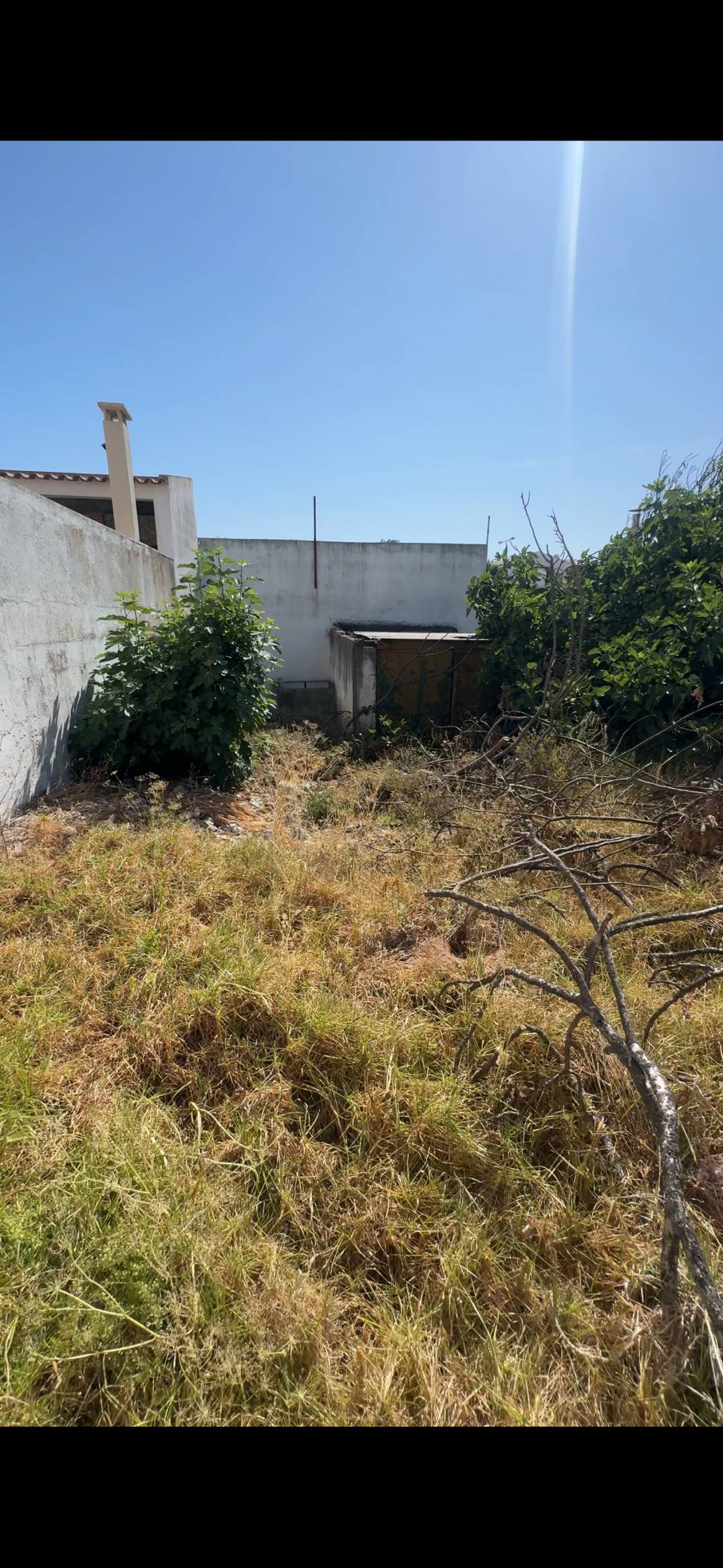 Soares jardins e campos jardim - Almada - Baumschnitt und Grundstückspflege